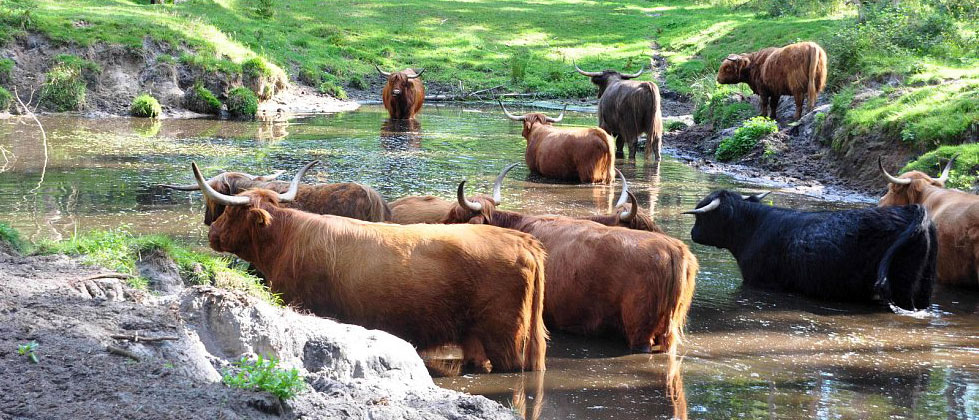 Mehr über den Artikel erfahren Ochsentour Samstag 27.12.2025
